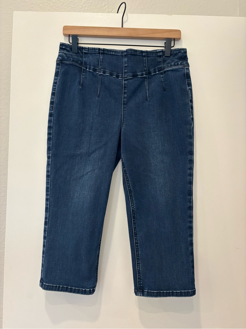 Free People We the Free Slim Crop Jean stretch denim Capris Pedal Pusher boho